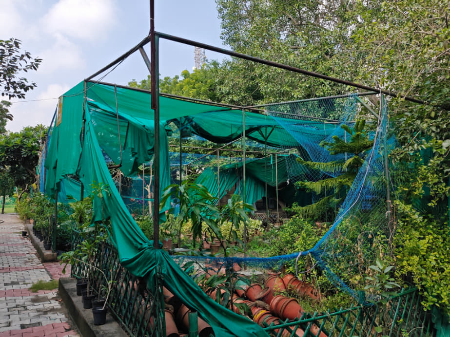 Shyam Lal College Campus photo 26